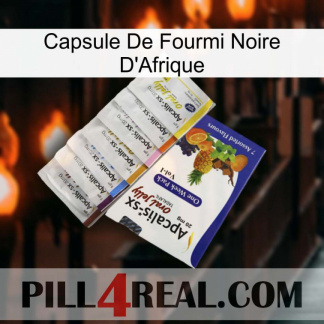 Africa Black Ant Capsule 11